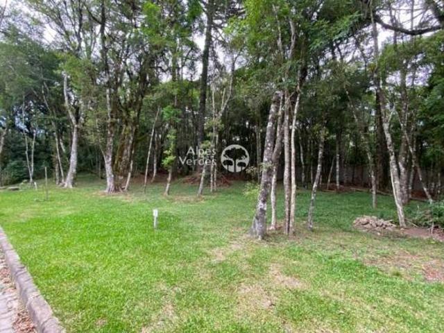 Terreno venda em Região Geográfica Imediata de Caxias do Sul, Canela