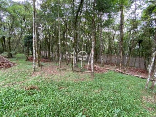 Terreno venda em Região Geográfica Imediata de Caxias do Sul, Canela