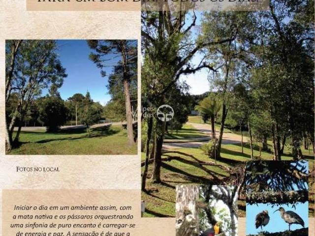 Terreno venda em Região Geográfica Imediata de Caxias do Sul, Canela