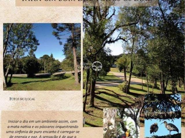 Terreno venda em Região Geográfica Imediata de Caxias do Sul, Canela