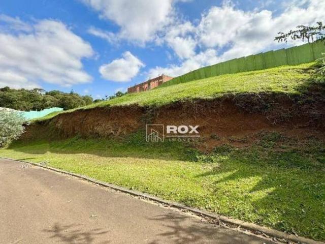 Terreno venda em Campo Novo, Campo Magro