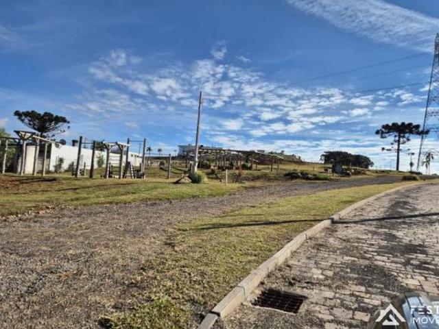 Terreno venda em Região Geográfica Imediata de Bento Gonçalves, Vila Flores