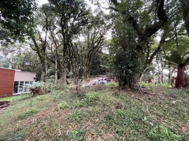 Terreno venda em Região Geográfica Imediata de Caxias do Sul, Canela
