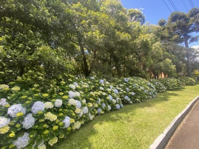 Terreno venda em Residencial Lagos de Gramado, Gramado