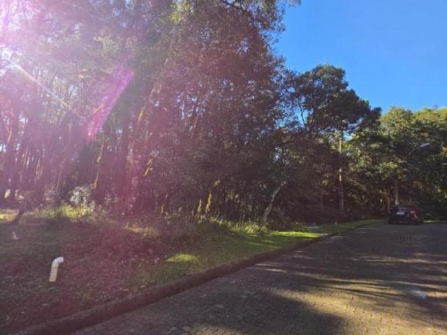 Terreno venda em Região Geográfica Imediata de Ijuí, Ijuí