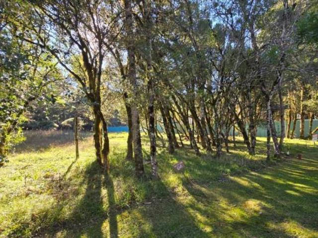 Terreno venda em Região Geográfica Imediata de Caxias do Sul, Canela