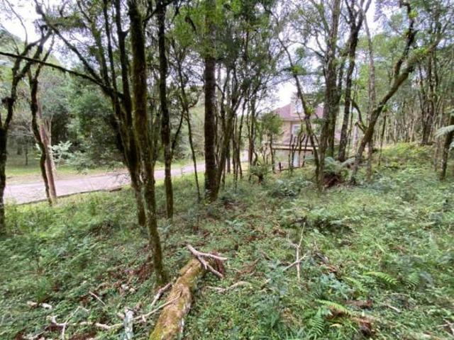 Terreno venda em Região Geográfica Imediata de Caxias do Sul, Canela