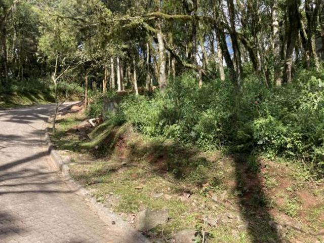 Terreno venda em Região Geográfica Imediata de Caxias do Sul, Canela