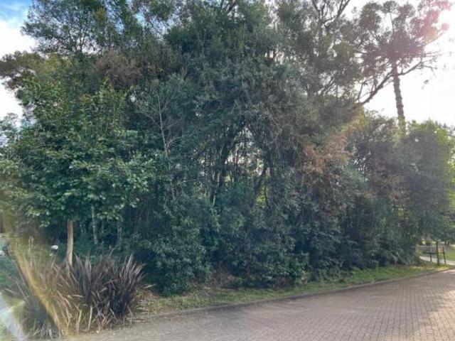 Terreno venda em Região Geográfica Imediata de Caxias do Sul, Canela