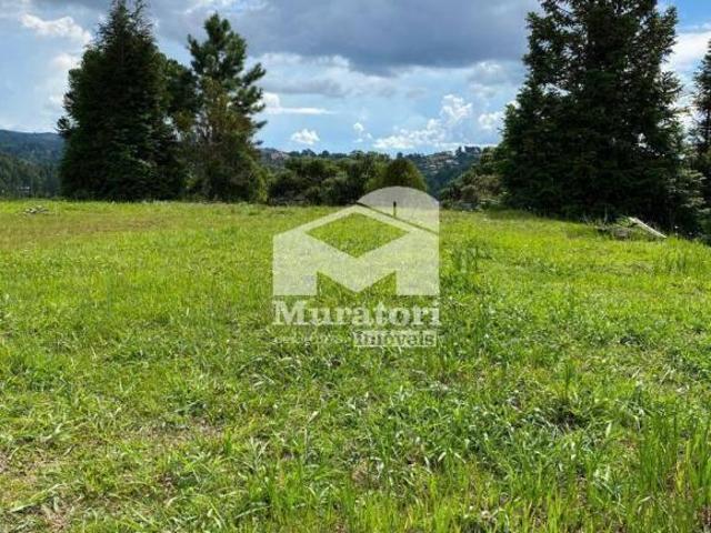 Terreno venda em Vila Paulista, Campos do Jordão