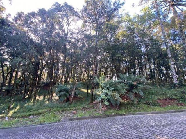 Terreno venda em Região Geográfica Imediata de Caxias do Sul, Canela