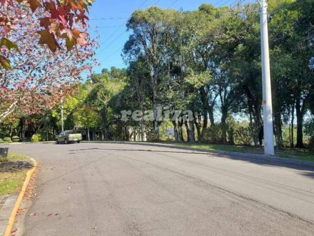 Terreno venda em Residencial Lagos de Gramado, Gramado