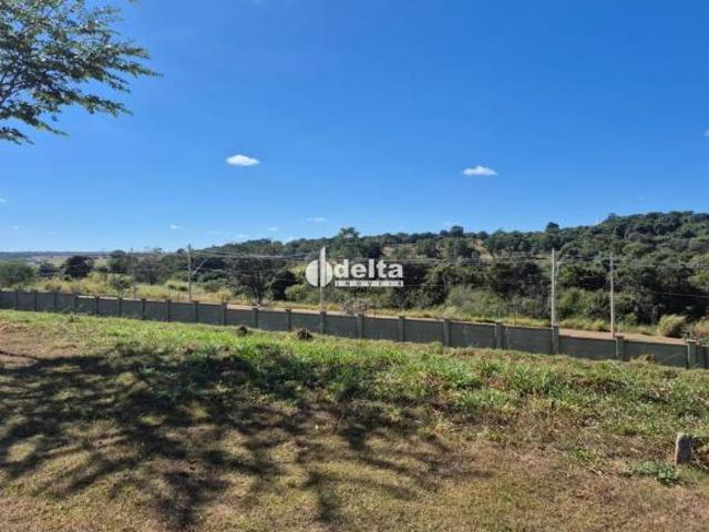 Terreno venda em Região Geográfica Imediata de Uberlândia, Oliveira Fortes