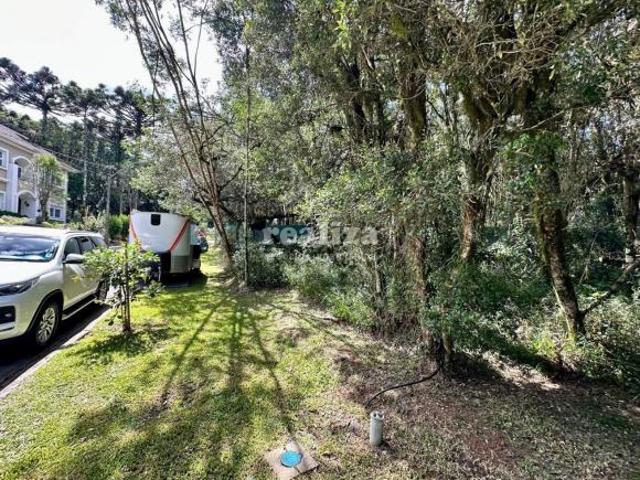 Terreno venda em Canela