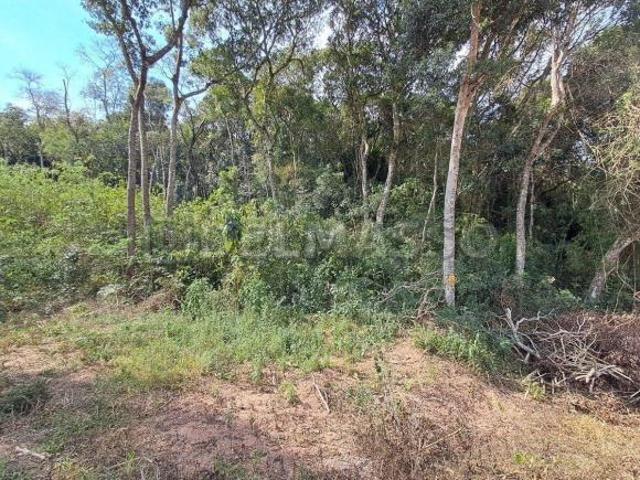 Terreno venda em Região Imediata de Sorocaba, Região Metropolitana de Sorocaba
