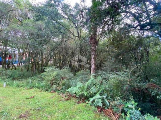 Terreno venda em Região Geográfica Imediata de Caxias do Sul, Canela