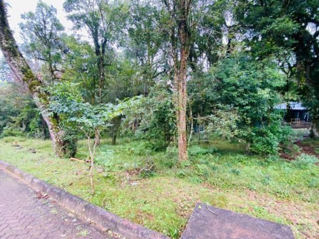Terreno venda em Região Geográfica Imediata de Caxias do Sul, Canela