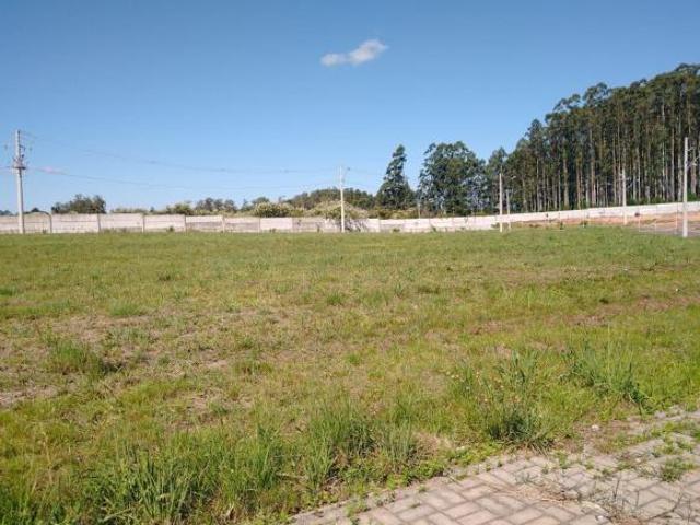 Terreno venda em Região Geográfica Imediata de Santa Maria, Santa Maria