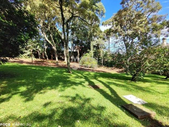 Terreno venda em Curitiba, Santa Felicidade