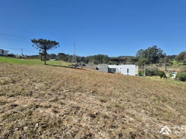 Terreno venda em Região Geográfica Imediata de Bento Gonçalves, Vila Flores