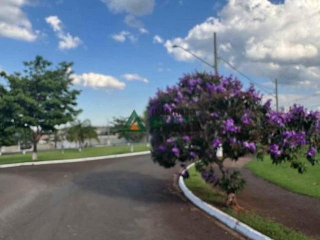 Terreno venda em Região Geográfica Imediata de Londrina, Londrina