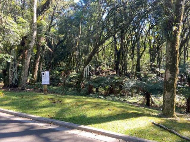 Terreno venda em Região Geográfica Imediata de Caxias do Sul, Gramado