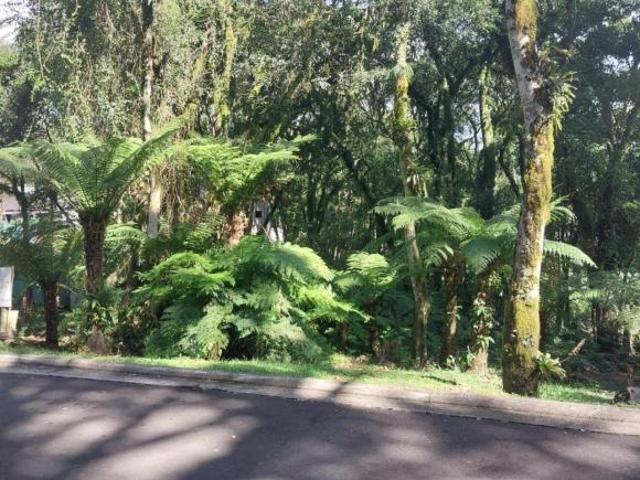 Terreno venda em Região Geográfica Imediata de Caxias do Sul, Gramado