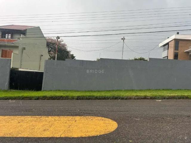 Terreno aluguel em Região Geográfica Imediata de Porto Alegre, Região Metropolitana de Porto Alegre