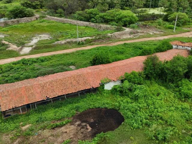 Terreno venda em Região Geográfica Imediata de Açu, Região Nordeste