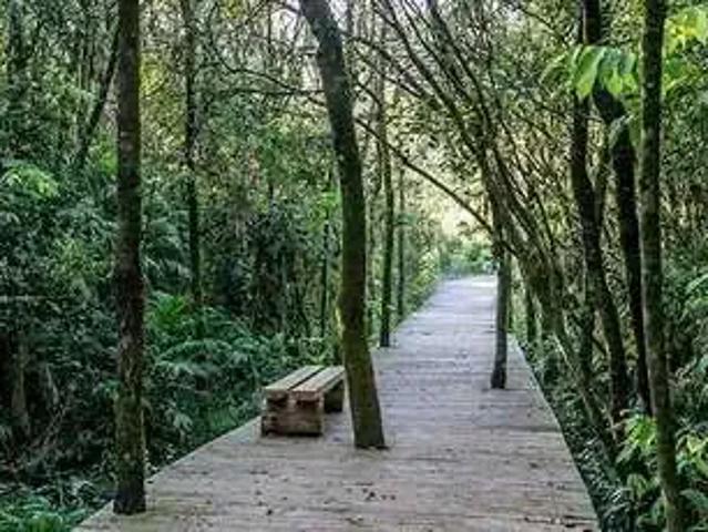 Terreno venda em Região Geográfica Imediata de Palmeiras de Goiás, Santa Bárbara de Goiás