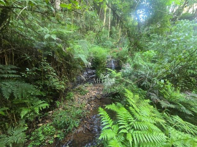 Terreno venda em Região Geográfica Imediata de Curitiba, Região Metropolitana de Curitiba