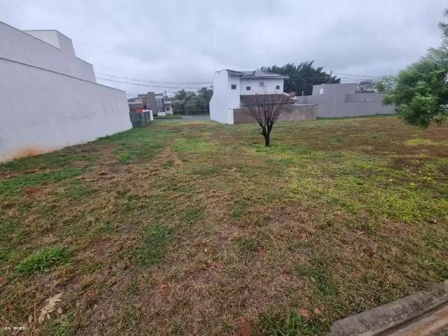 Terreno venda em Região Imediata de Presidente Prudente, Álvares Machado