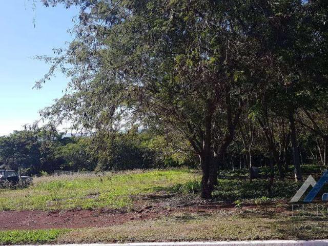 Terreno venda em Loteamento Bem-Te-Vis, Alvorada do Sul