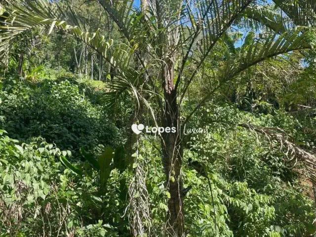 Terreno venda em Região Geográfica Imediata de Angra dos Reis, Angra dos Reis
