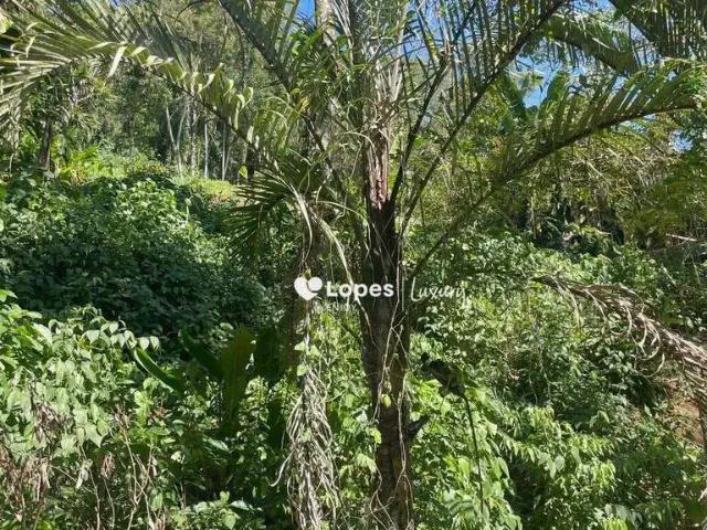 Terreno venda em Região Geográfica Imediata de Angra dos Reis, Angra dos Reis