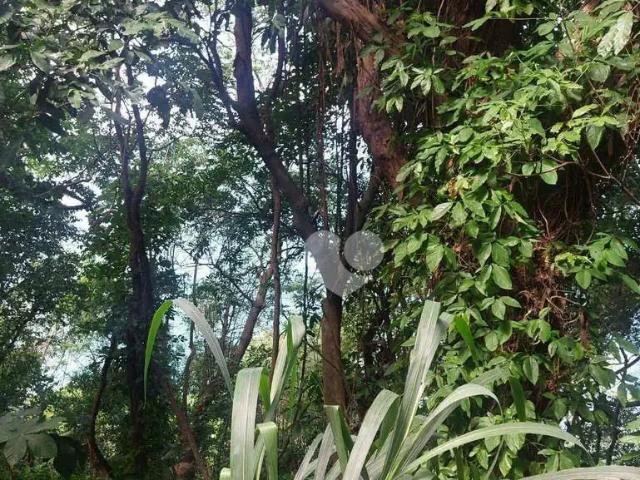 Terreno venda em Região Geográfica Imediata de Angra dos Reis, Angra dos Reis
