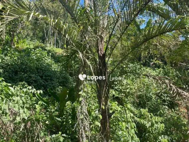 Terreno venda em Região Geográfica Imediata de Angra dos Reis, Angra dos Reis