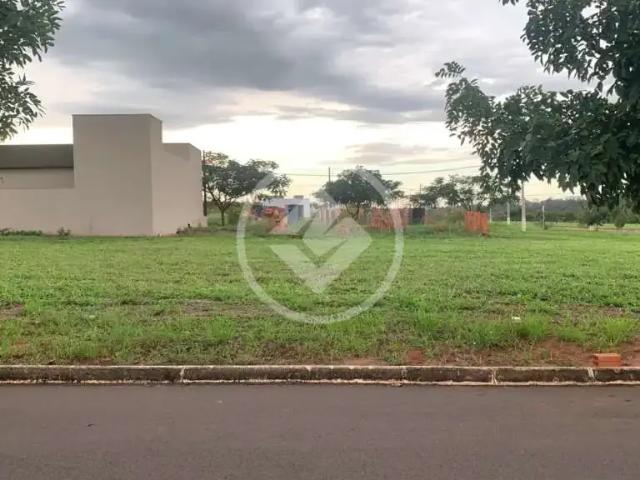 Terreno venda em Região Imediata de Araçatuba, Araçatuba