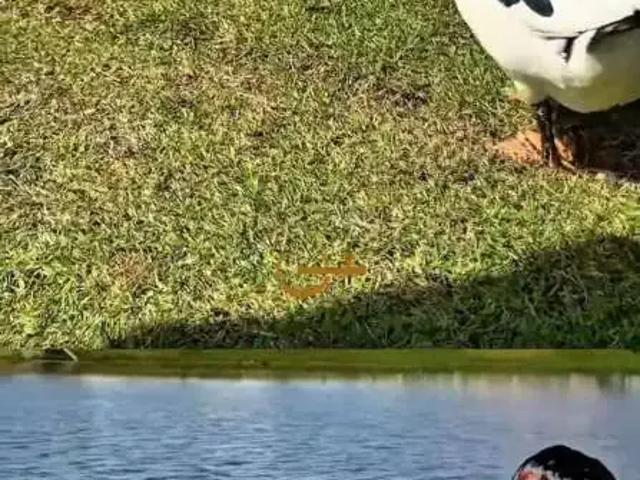 Terreno venda em Região Geográfica Imediata de Aracaju, Região Metropolitana de Aracaju