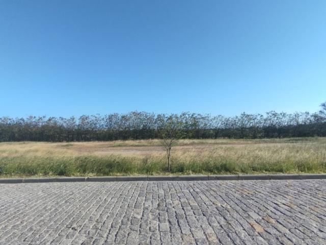 Terreno venda em Região Geográfica Imediata de Cabo Frio, Araruama