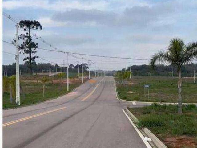 Terreno venda em Araucária, Região Geográfica Intermediária de Curitiba