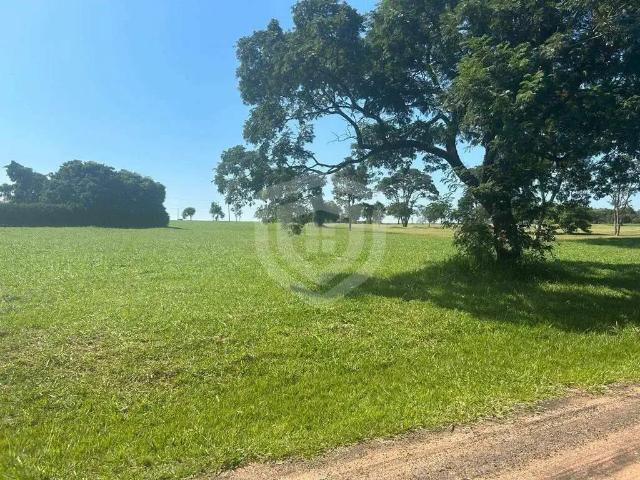 Terreno venda em Região Imediata de Bauru, Arealva