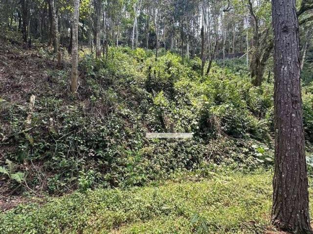 Terreno venda em Região Imediata de São Paulo, Região Metropolitana de São Paulo