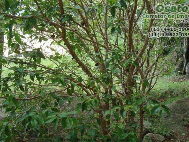 Terreno venda em Atibaia, Bairro do Portão