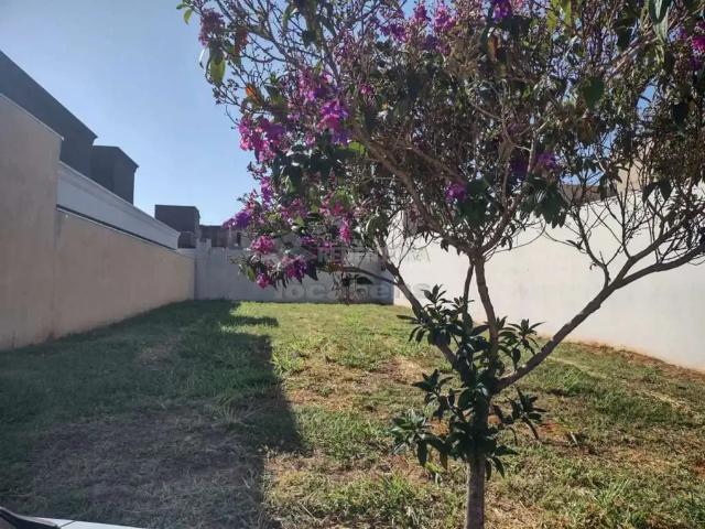 Terreno venda em Região Imediata de São José do Rio Preto, Região Metropolitana de São José do Rio Preto