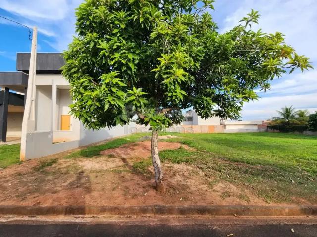 Terreno venda em Região Imediata de São José do Rio Preto, Região Metropolitana de São José do Rio Preto