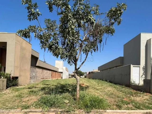 Terreno venda em Região Imediata de São José do Rio Preto, Região Metropolitana de São José do Rio Preto