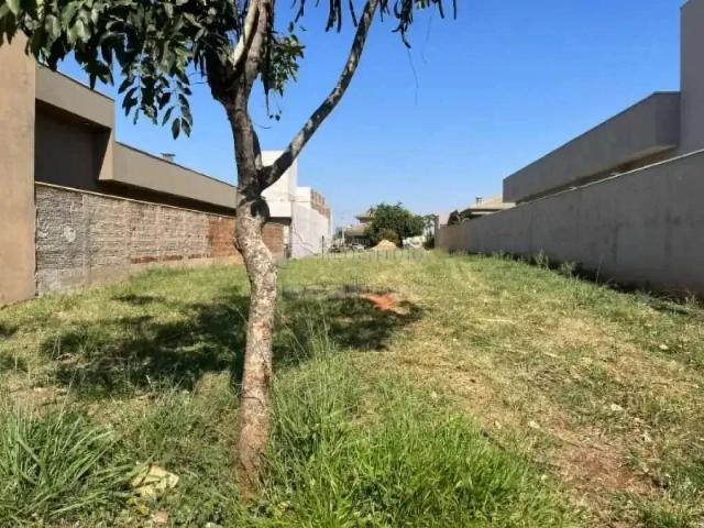 Terreno venda em Região Imediata de São José do Rio Preto, Região Metropolitana de São José do Rio Preto