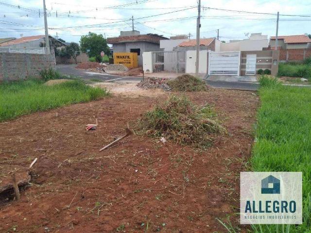 Terreno venda em Bady Bassitt