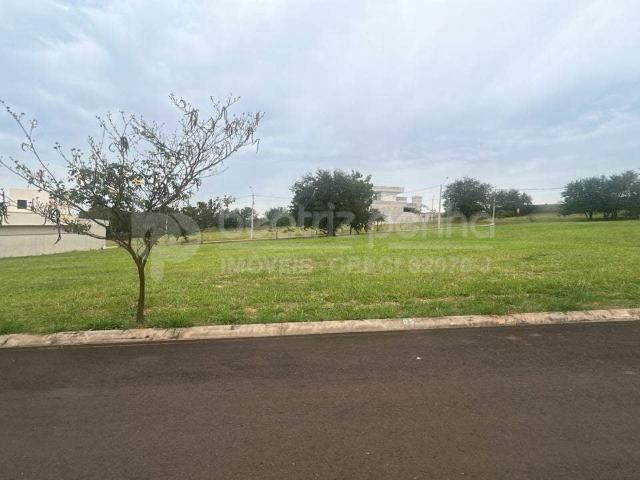 Terreno venda em Região Imediata de São José do Rio Preto, Região Metropolitana de São José do Rio Preto